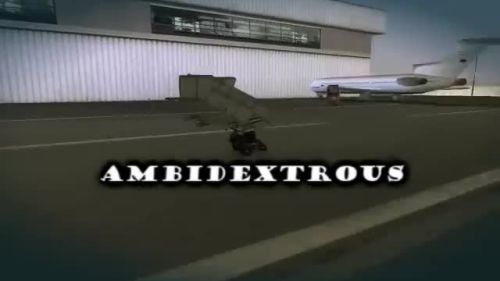 Ambidextrous
