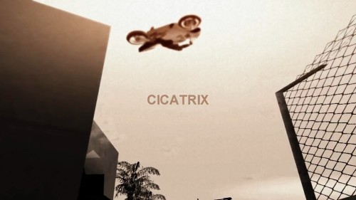 Cicatrix