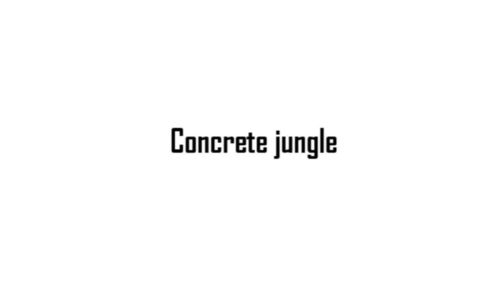 Concrete jungle