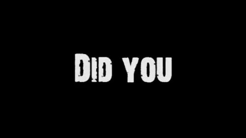 Did You