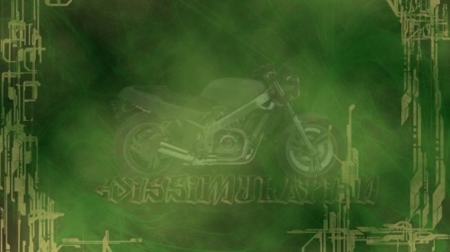 Dissimulation