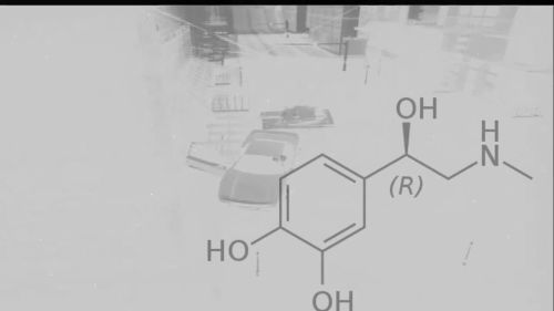 Epinephrine