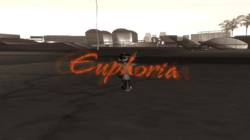 Euphoria