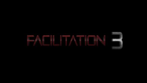 Facilitation 3