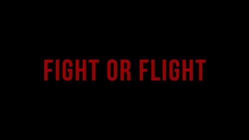 Fight or Flight