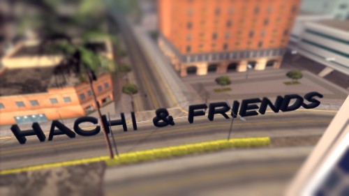 Hachi & Friends