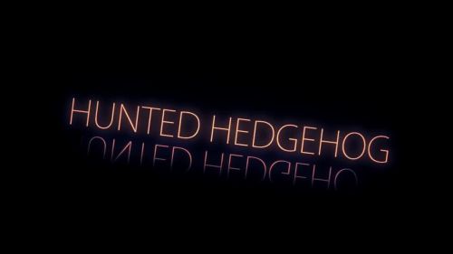 Hunted Hedgehog