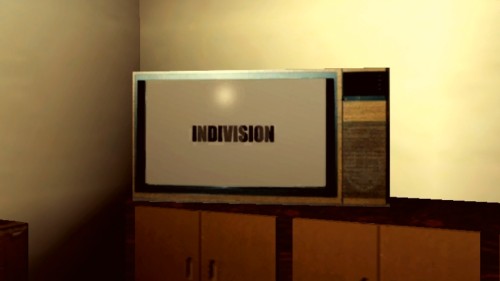 INDIVISION