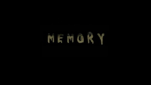 Memory