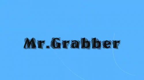 Mr. Grabber