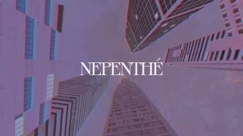 NEPENTHÉ