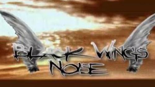 Noise