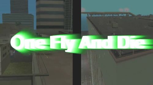 One Fly And Die