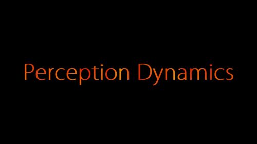 Perception Dynamics