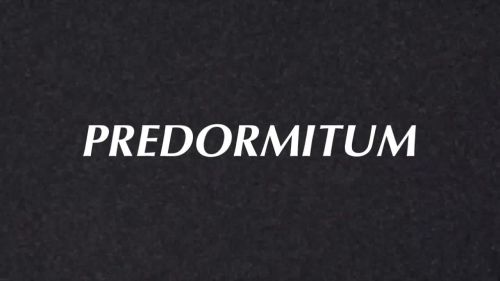 Predormitum