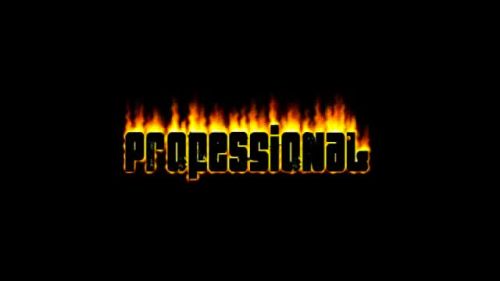 PROFESSIONAL