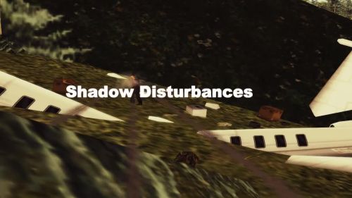 Shadow Disturbances