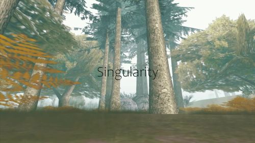 Singularity