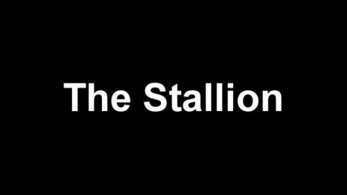 The Stallion