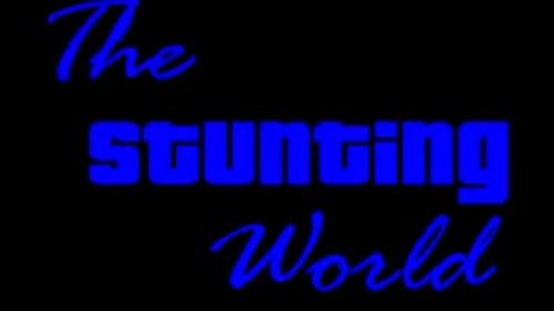 The Stunting World (Dragon's aMpT Audition)