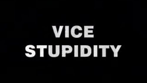 Vice Stupidity