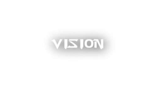 Vision