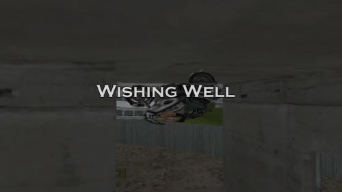 Wishing Well