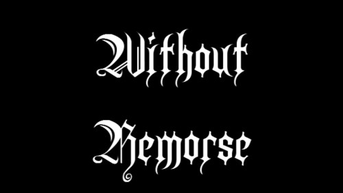 Without Remorse