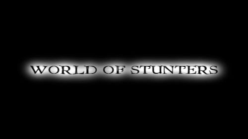 World Of Stunters